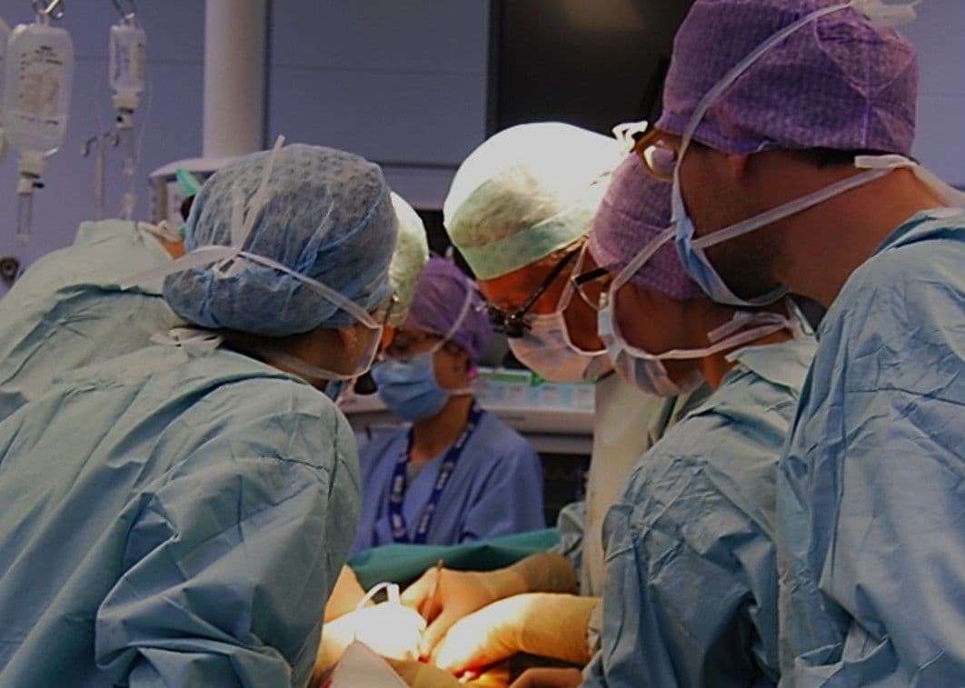 Prelievo di organi e tessuti: il ringraziamento della Dott.ssa Maretti