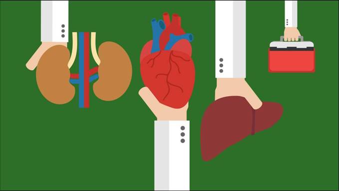 DONAZIONE MULTIORGANO A CUORE BATTENTE