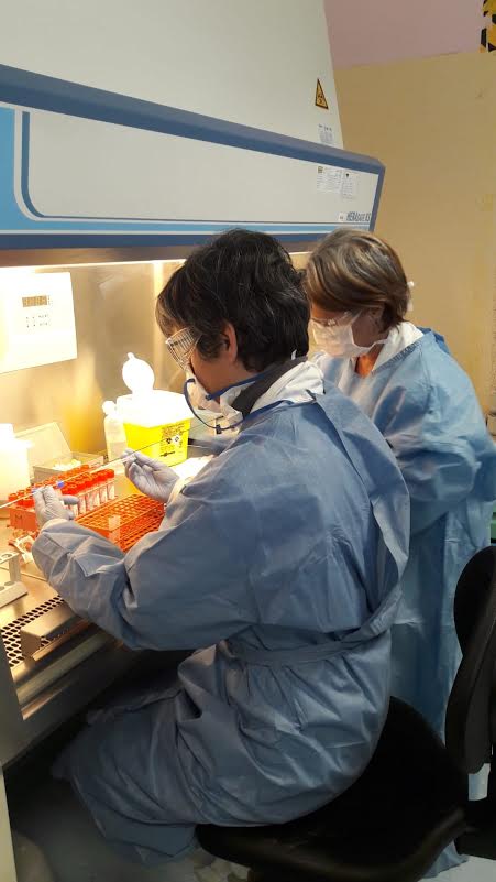 Tamponi analizzati dal Laboratorio di Microbiologia di Varese