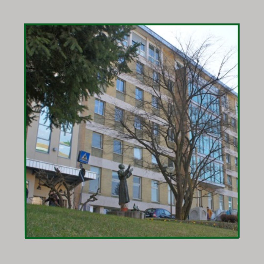 ospedale luino presentazione