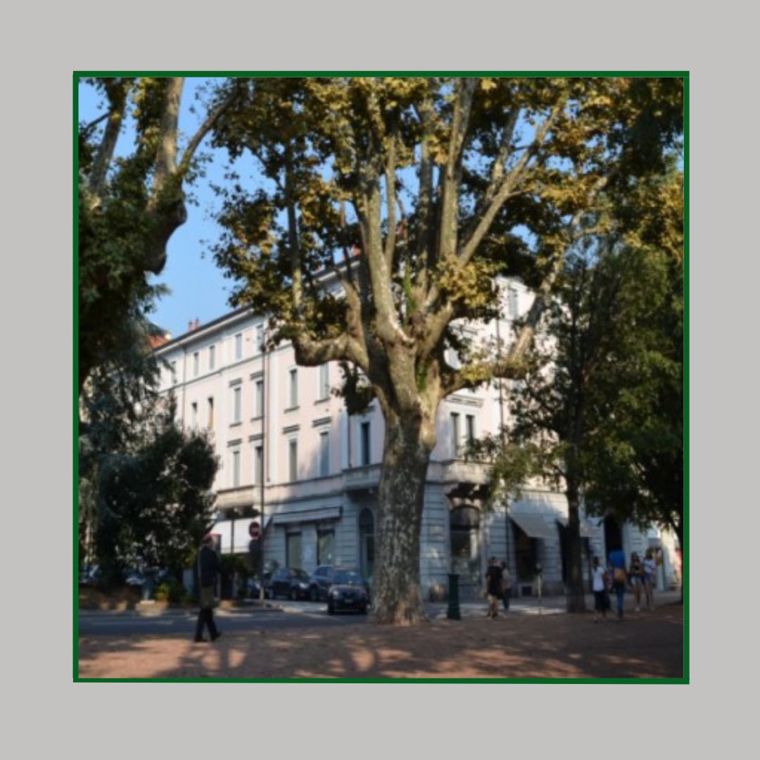 distretto luino
